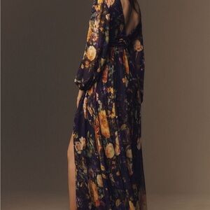 BHLDN Long Sleeve V Neck Sheer Maxi Dress